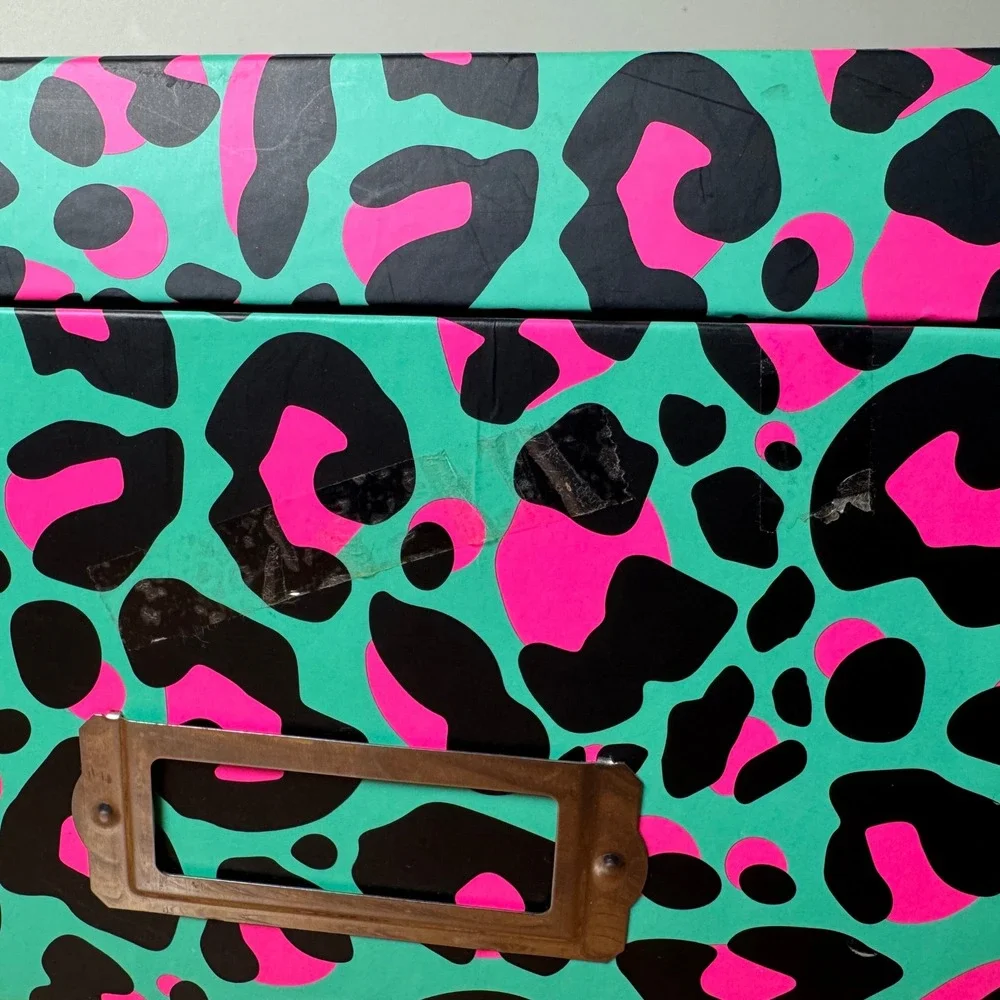 Neon Leopard Print Storage‎ Box Teal Pink Animal Print Y2K Desk Organizer Label